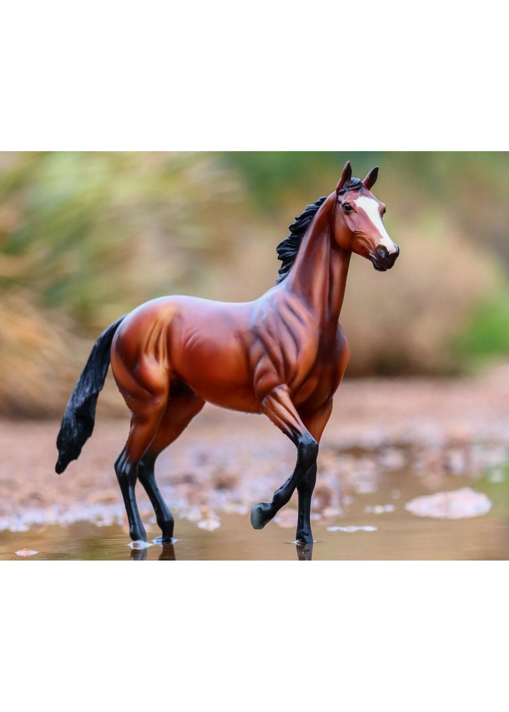 Breyer Tiz the Law 4 Breyer Tiz the Law - Image 2