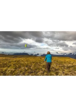 Prism Synapse 140 Cilantro - Dual Line Kite -Toys Elegant shop prism synapse 140 cilantro dual line kite 3